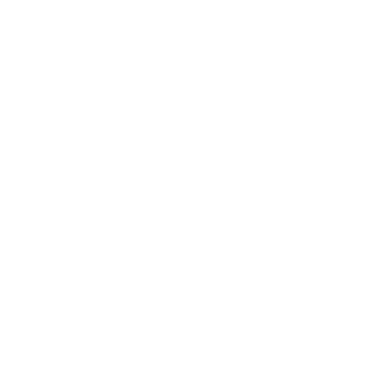 2. DEPOSITAR